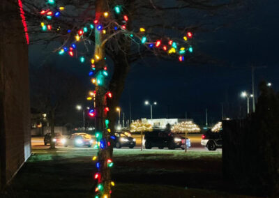 Tree decorated with lights and West Oakville Preschool Centre families' cars waiting in the parade line